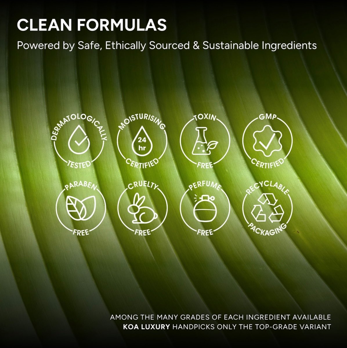 Sunsmart Tinted Moisturiser - KOA Luxury - Sunsmart Tinted Moisturiser