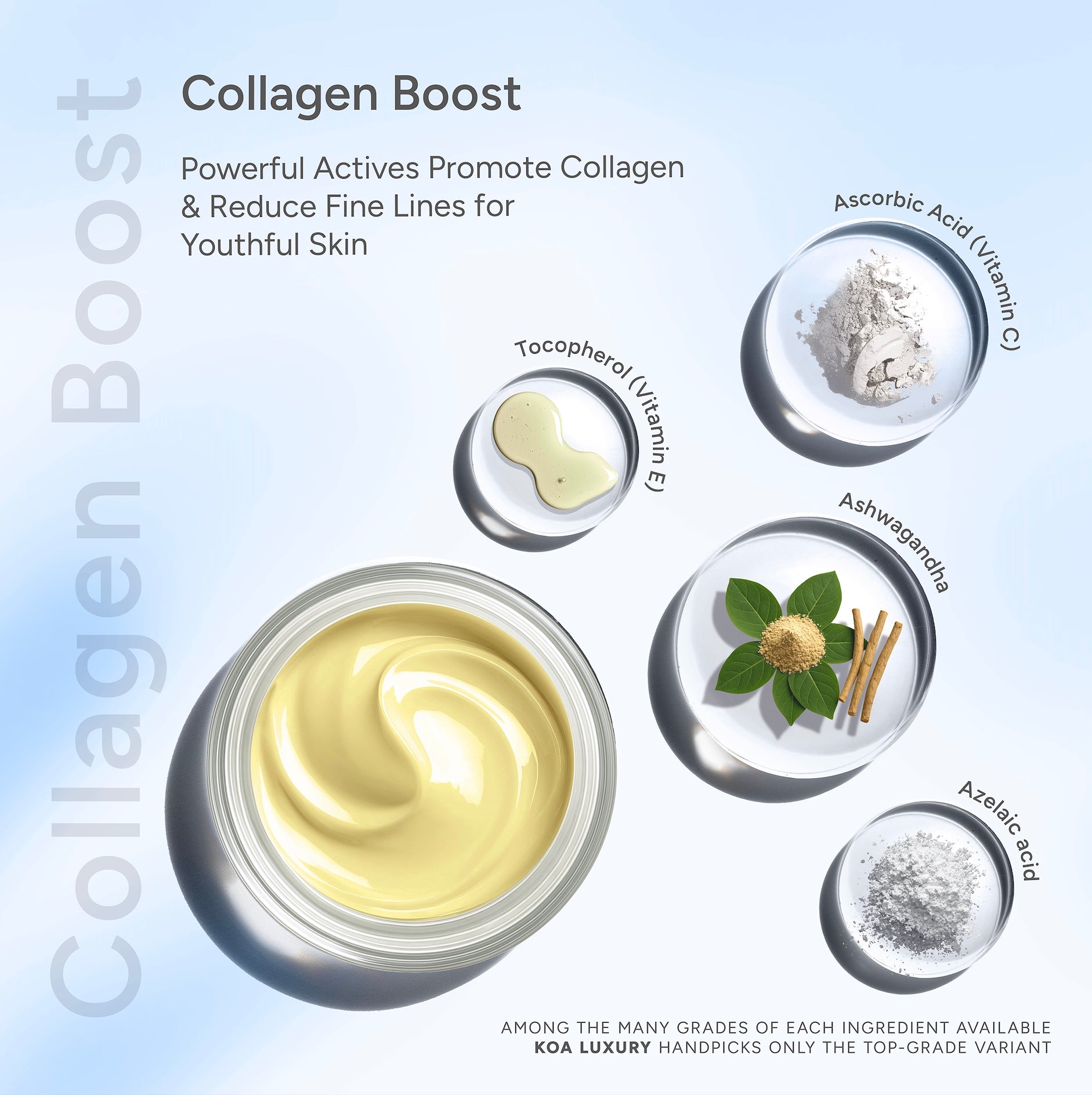 Night Restore | Repair | Protection | Nourishment | Collagen Boost | For All Skin Types | For Both Women & Men | 50mL