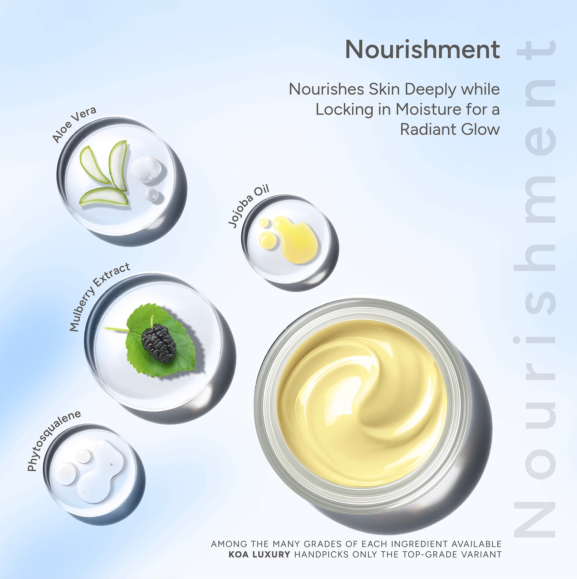 Night Restore | Repair | Protection | Nourishment | Collagen Boost | For All Skin Types | For Both Women & Men | 50mL