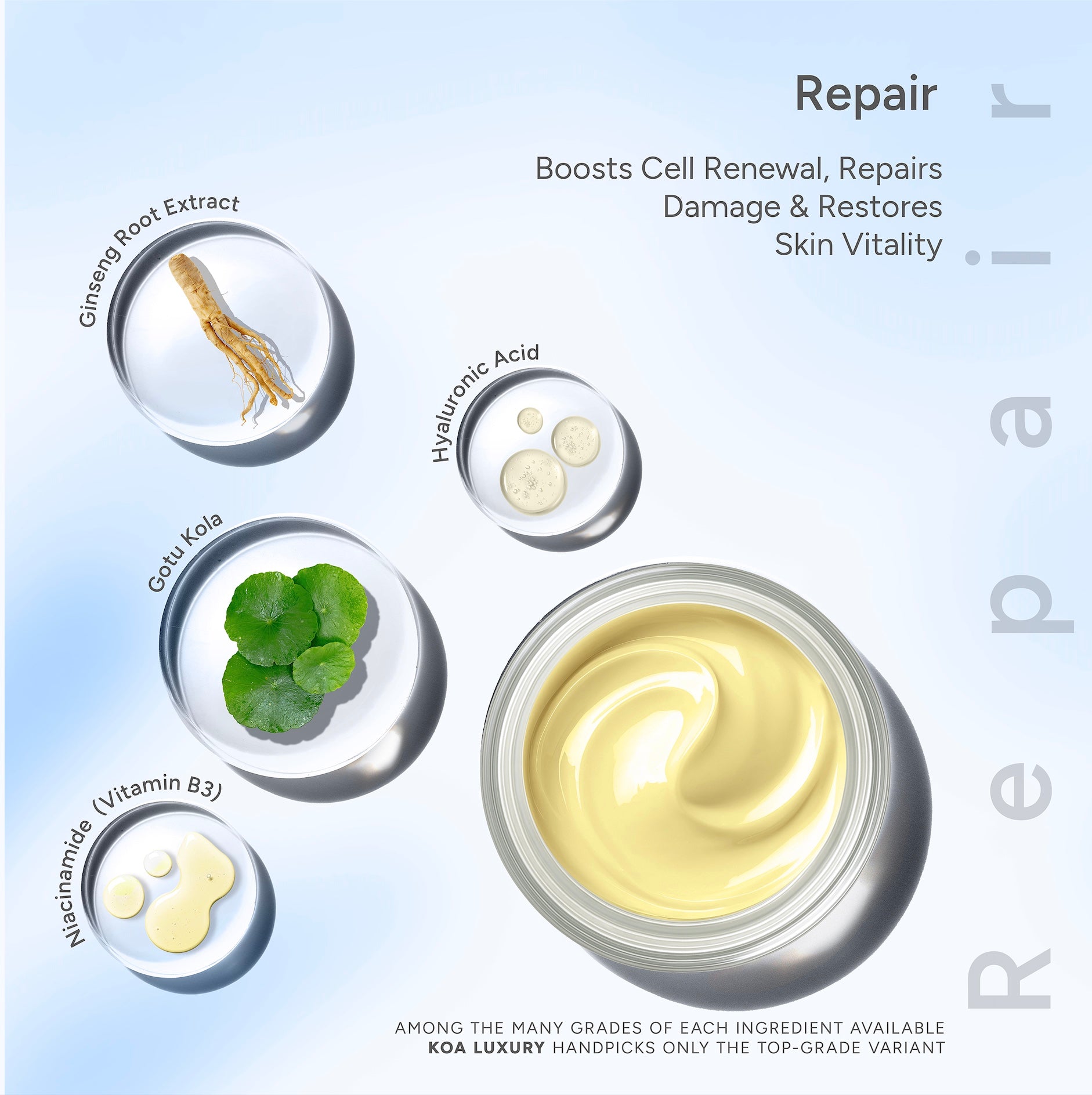 Night Restore | Repair | Protection | Nourishment | Collagen Boost | For All Skin Types | For Both Women & Men | 50mL