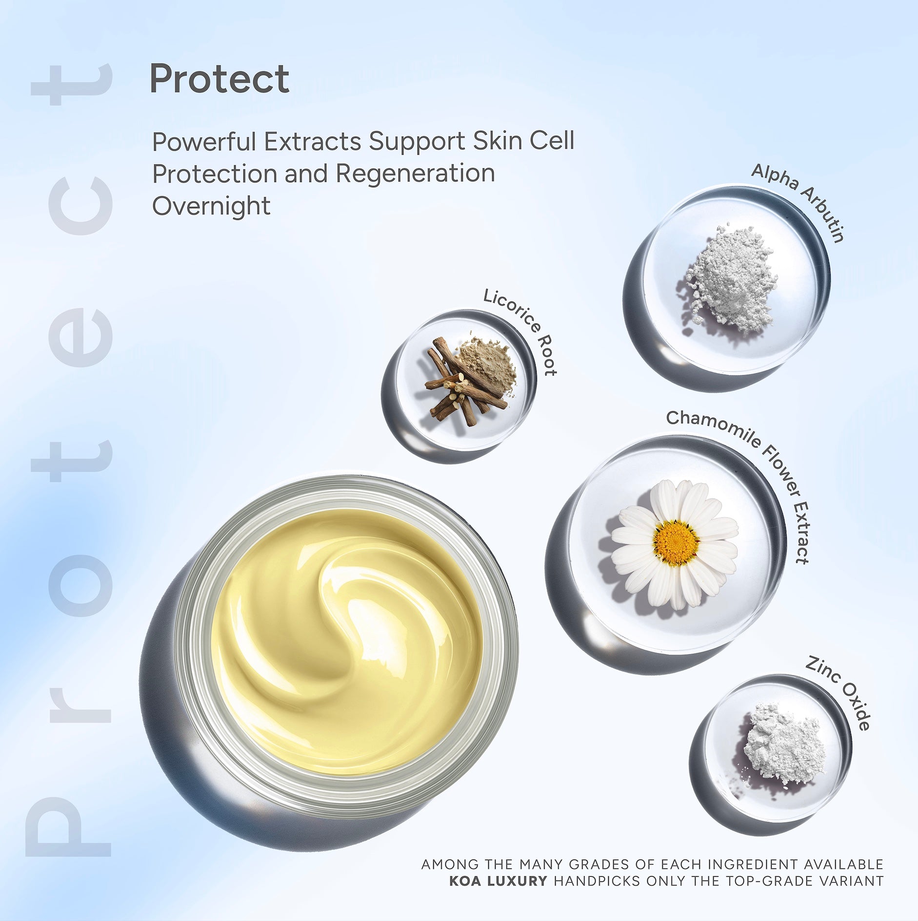 Night Restore | Repair | Protection | Nourishment | Collagen Boost | For All Skin Types | For Both Women & Men | 50mL