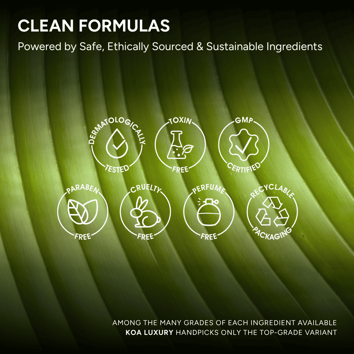 Hair Elixir - KOA Luxury - Hair Elixir