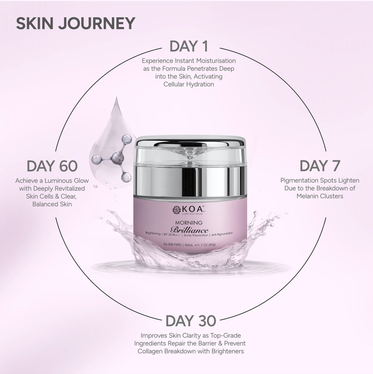 Morning Brilliance - KOA Luxury - Morning Brilliance